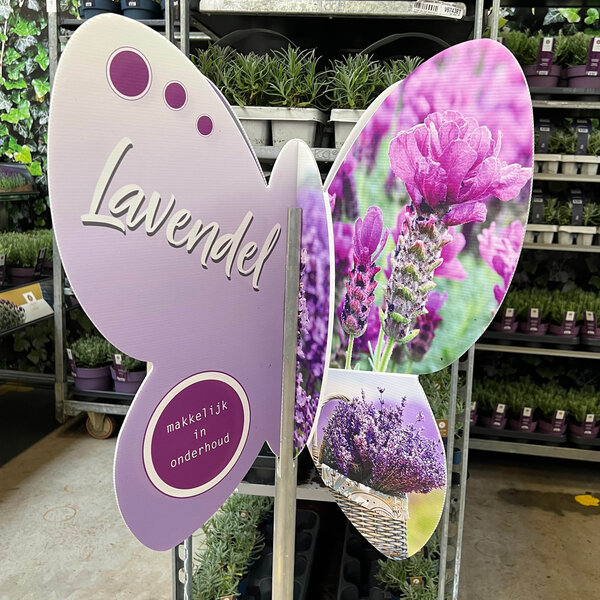 Bricks 3D molentje Vlinder/Lavendel
