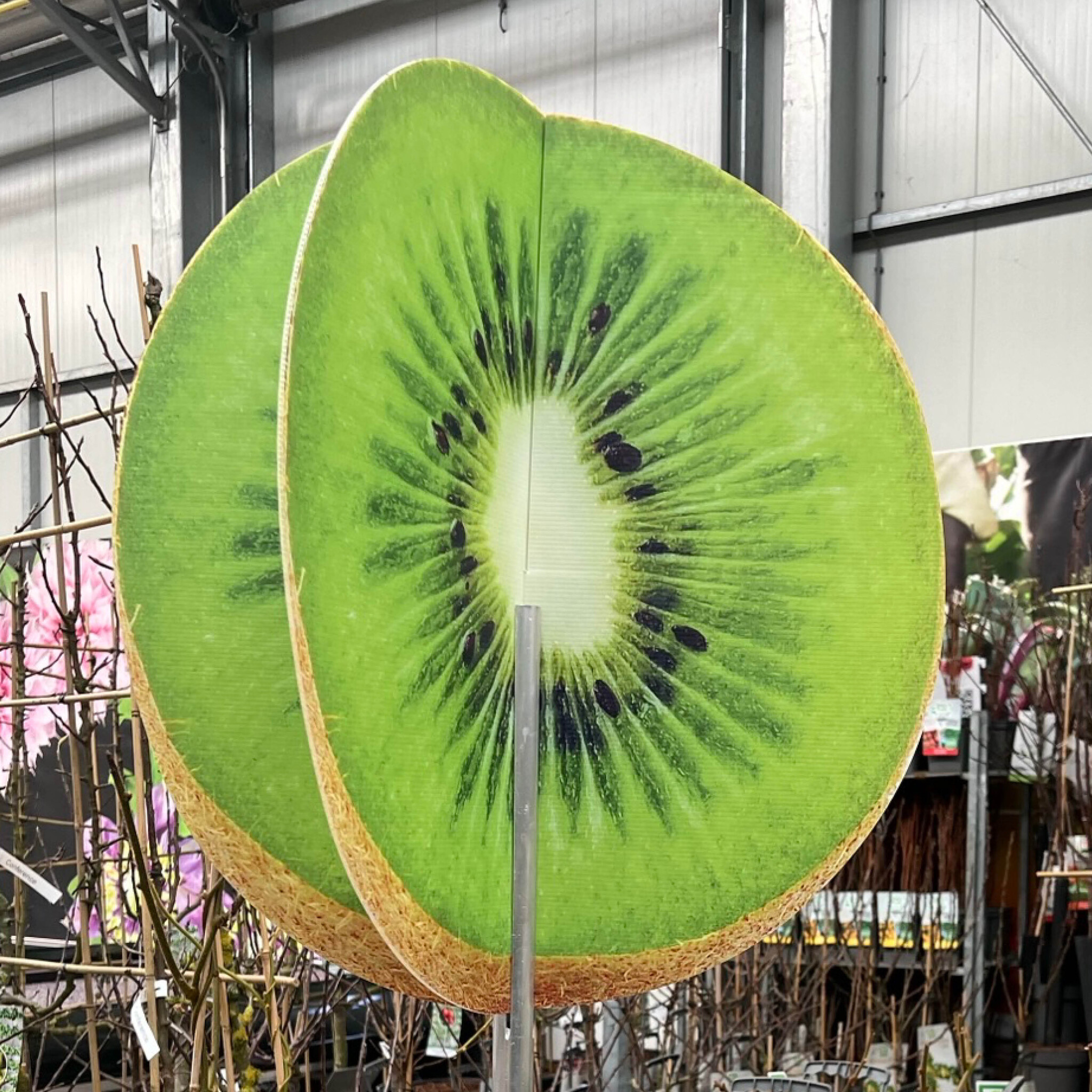 Bricks 3D Vrucht Kiwi