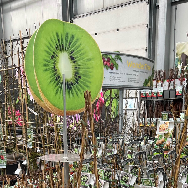 Bricks 3D Vrucht Kiwi