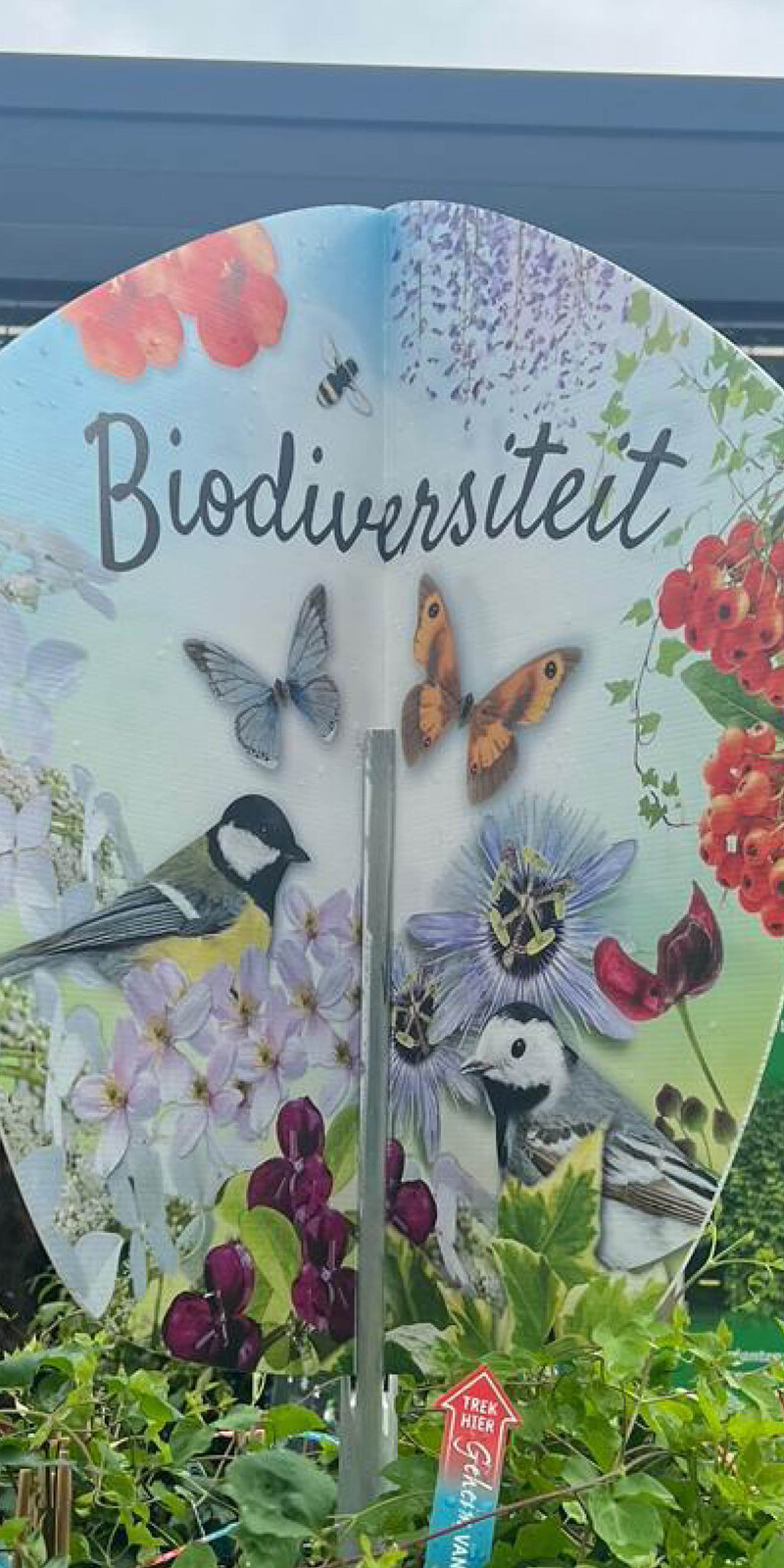 Bricks 3D molentje Biodiversiteit