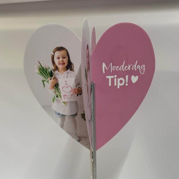 Bricks 3D Moederdag Hart met meisje Display – Tip van Liefde