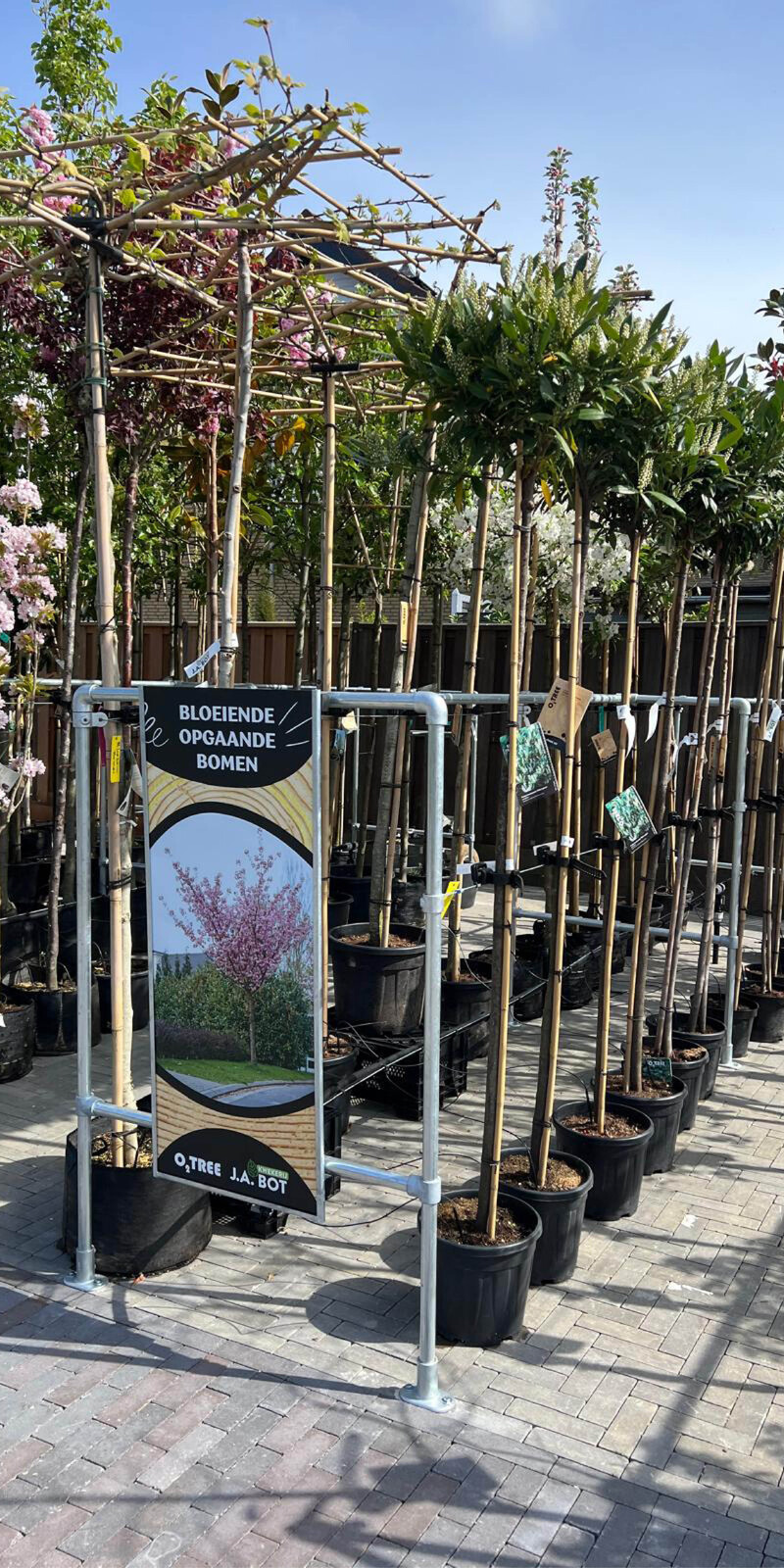 Boompresentatie Buisframe Maatwerk