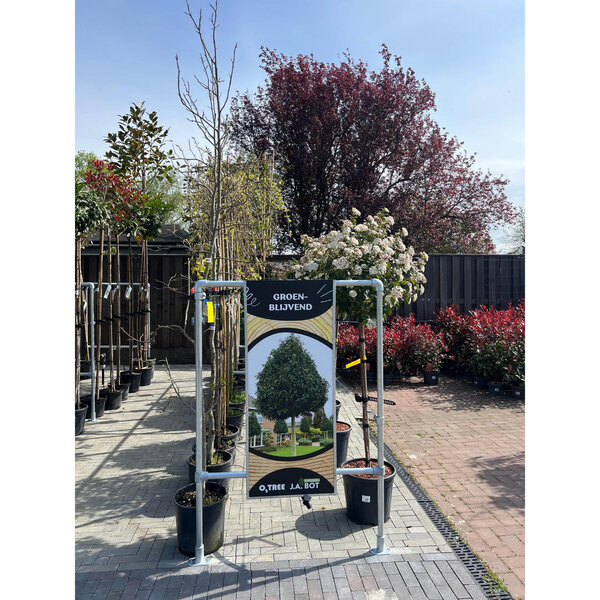 Boompresentatie Buisframe Maatwerk