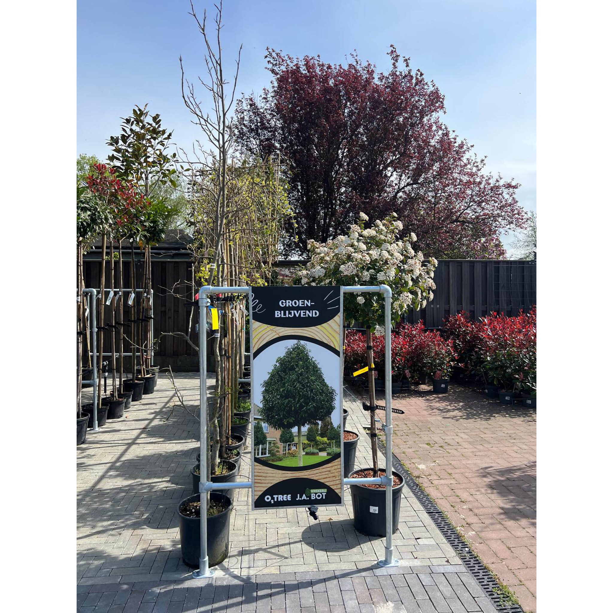 Boompresentatie Buisframe Maatwerk