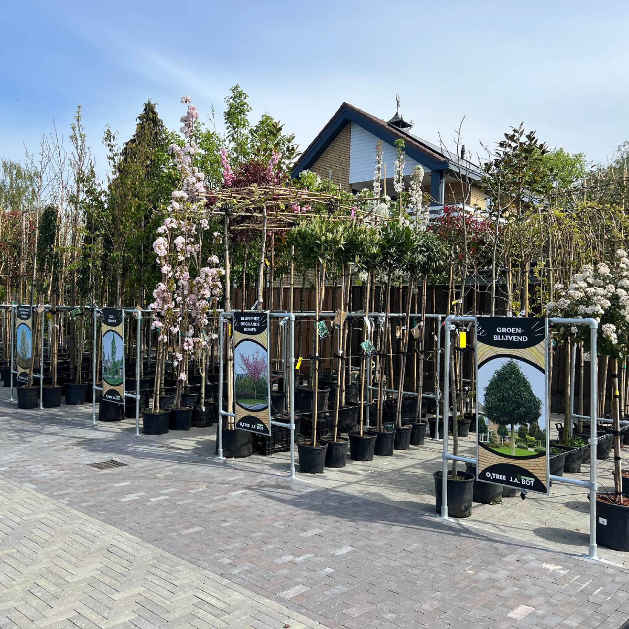 Boompresentatie Buisframe Maatwerk