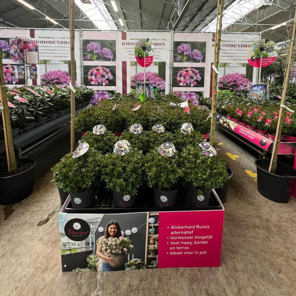 Bricks Palletcover Bloombux