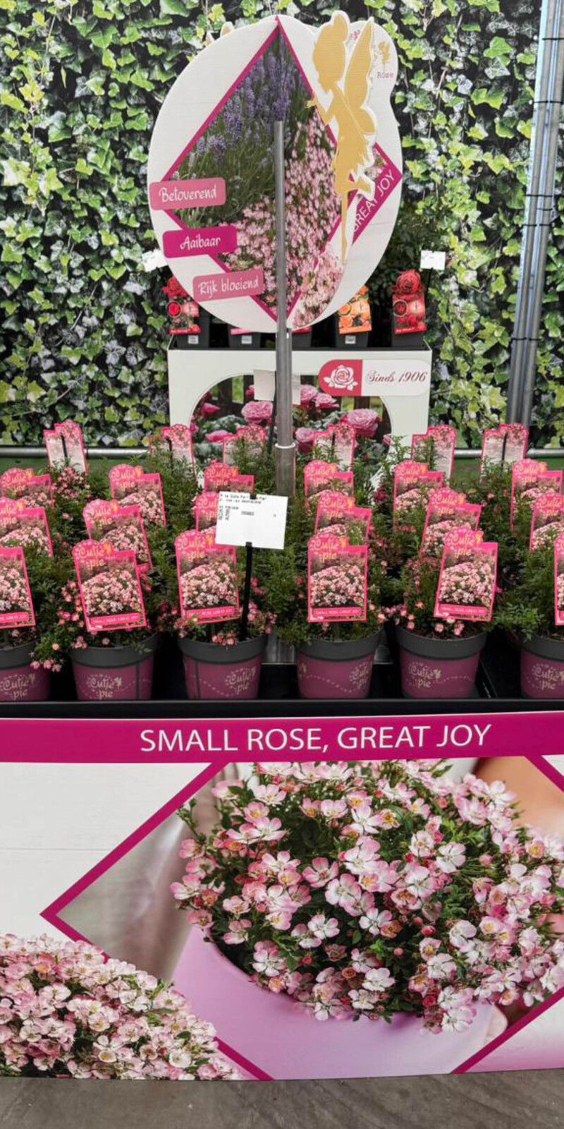 Bricks Palletcover CutiePie