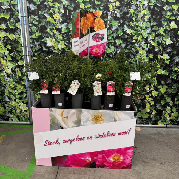 Bricks Palletcover Flower Carpet