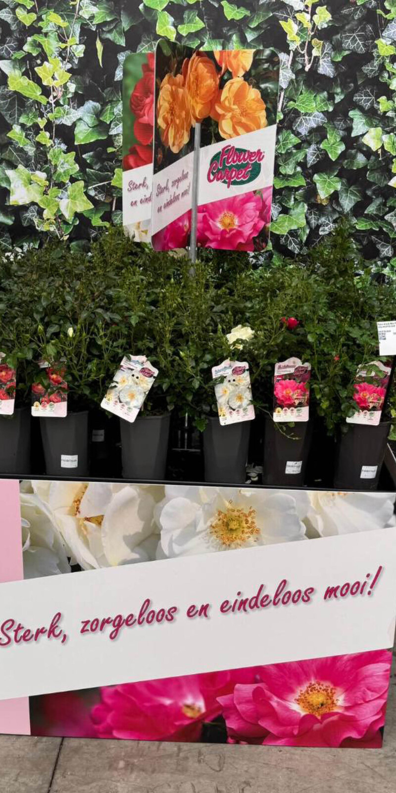 Bricks Palletcover Flower Carpet