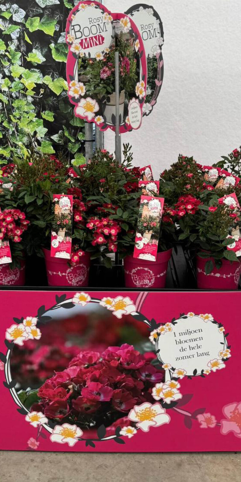 Bricks Palletcover Rosy Boom