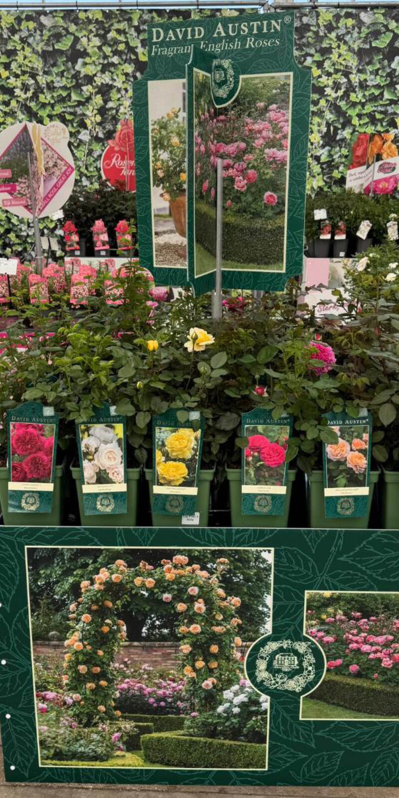 Bricks Palletcover David Austin