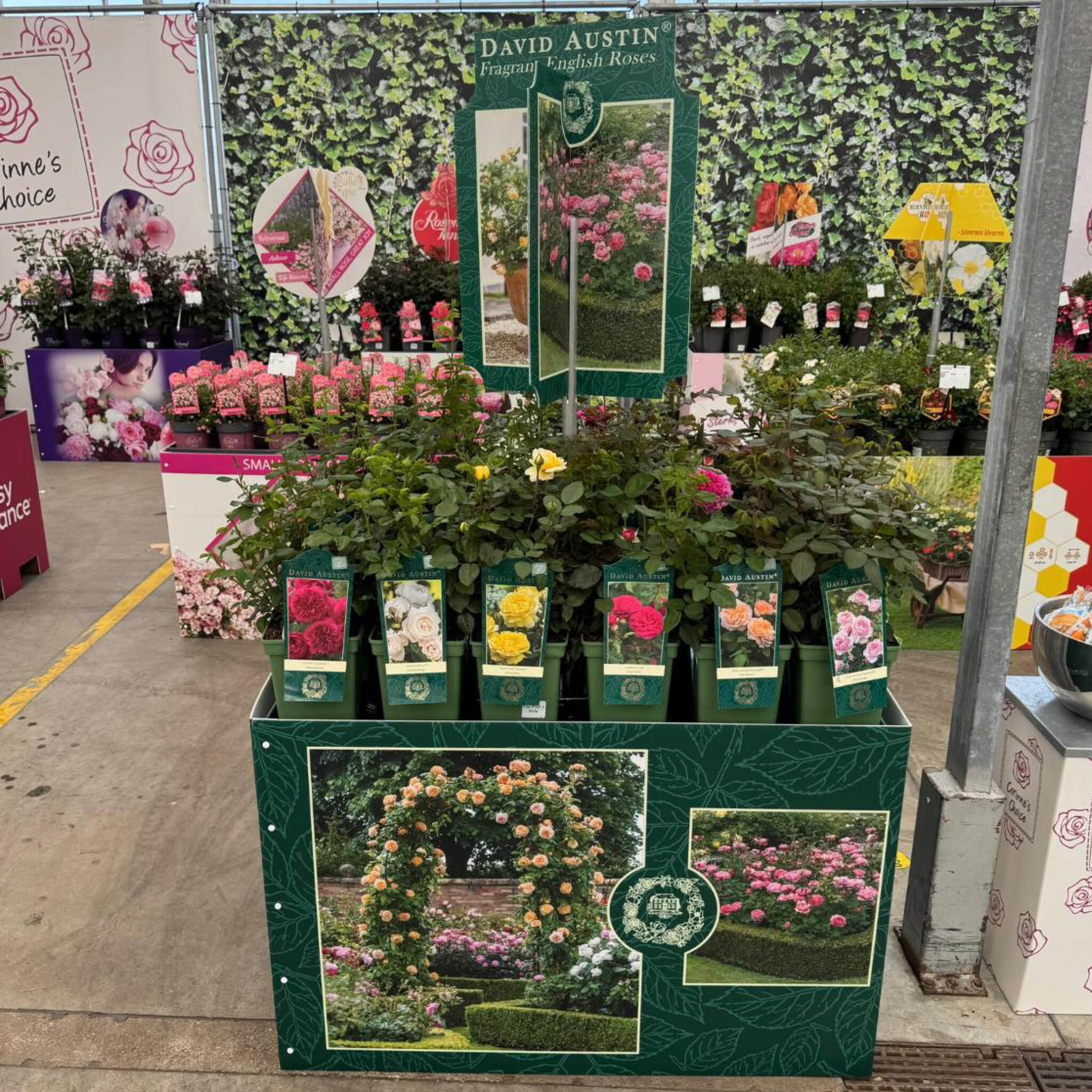 Bricks Palletcover David Austin