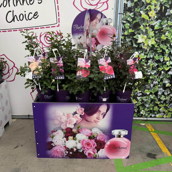 Bricks Palletcover Parfuma