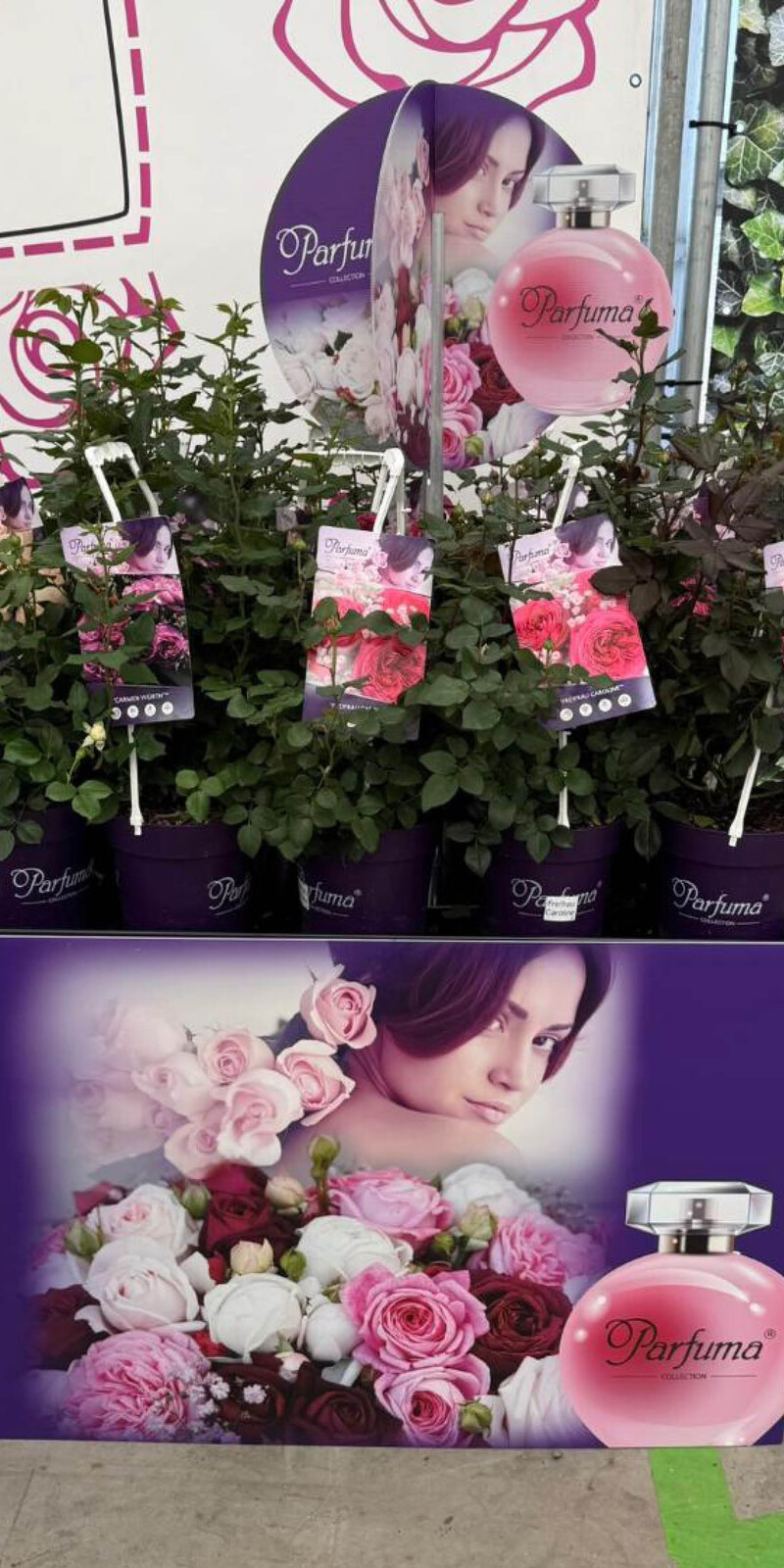 Bricks Palletcover Parfuma