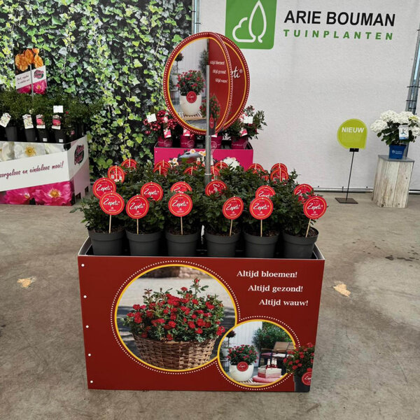 Bricks Palletcover Zepeti