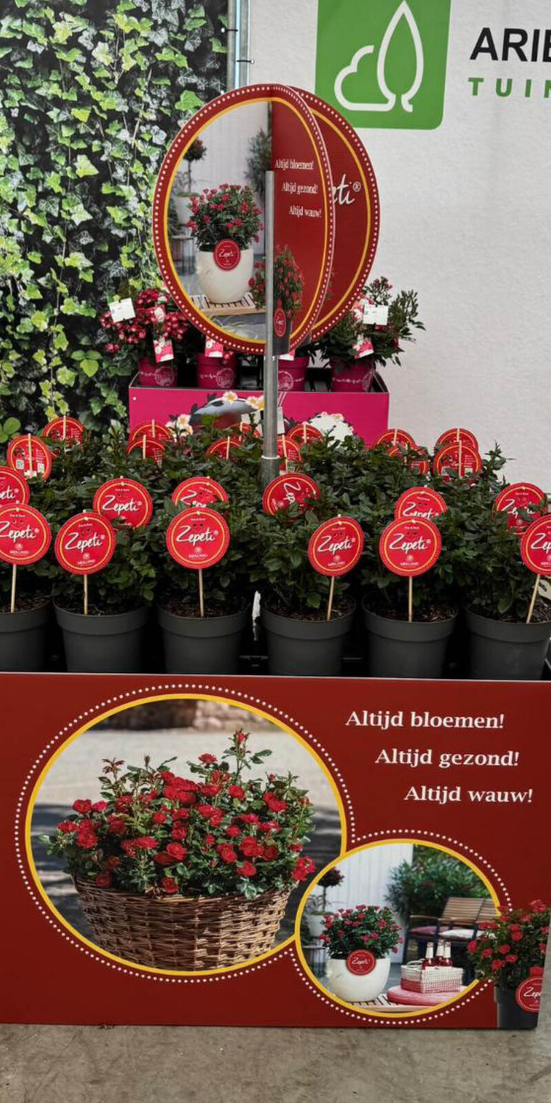 Bricks Palletcover Zepeti