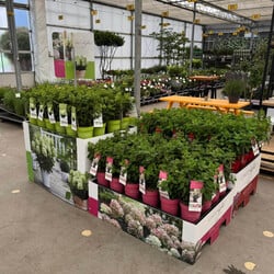 Bricks Palletcover Gardenlights