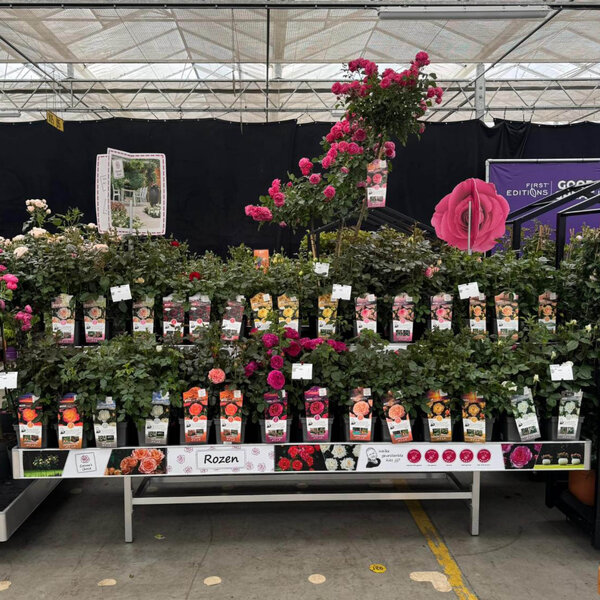 Bricks tafelbanner A5 Corinnes Choice