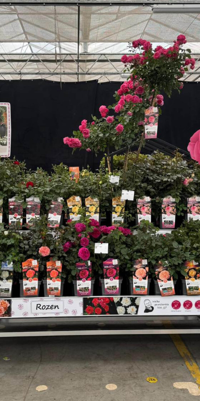 Bricks tafelbanner A5 Corinnes Choice