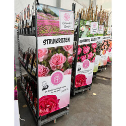 Spandoek CC/Deense kar