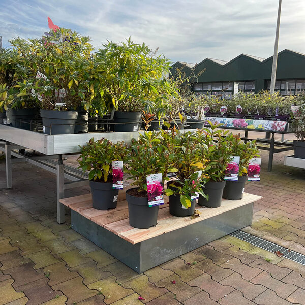 Houten vlonder small