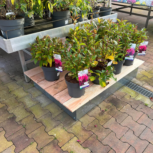 Houten vlonder small