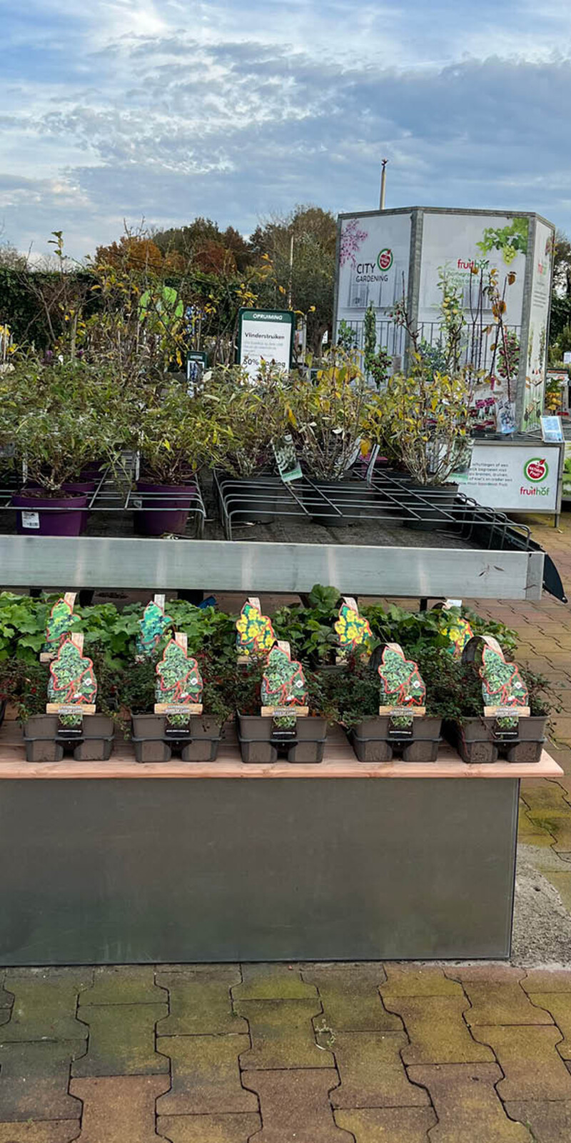 Houten vlonder medium