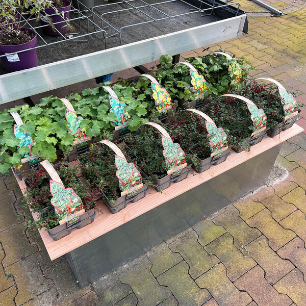 Houten vlonder medium