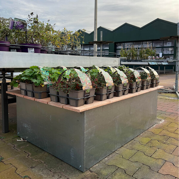 Houten vlonder medium