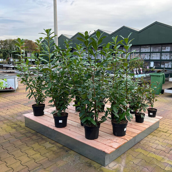 Houten vlonder extra large