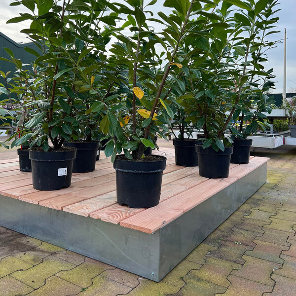 Houten vlonder extra large