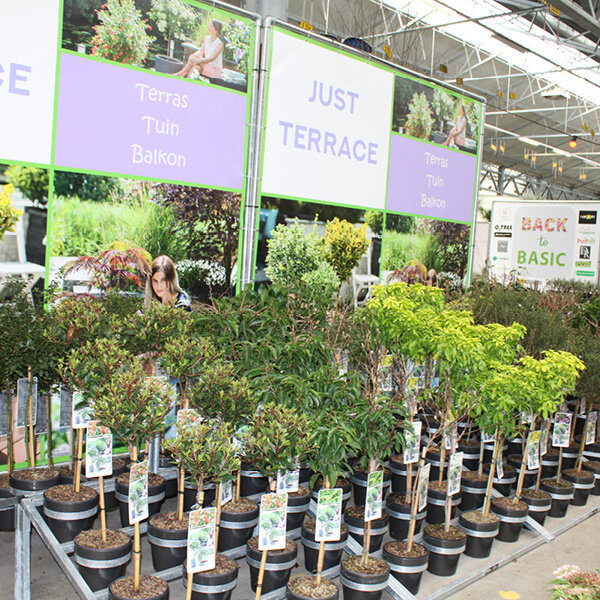 Bricks spandoekframe 3x3m