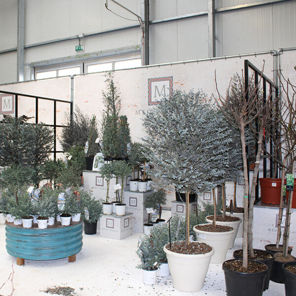 Bricks spandoekframe 4,5x3m