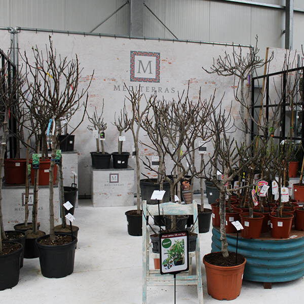 Bricks spandoekframe 4,5x3m