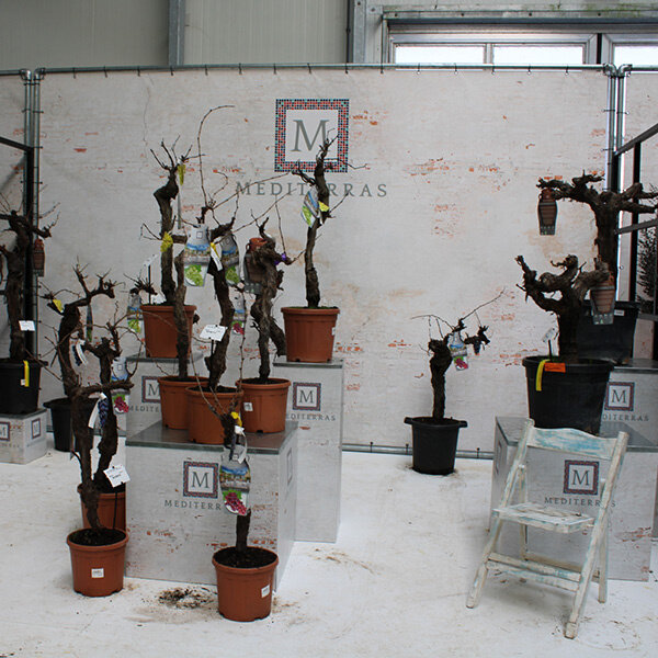 Bricks spandoekframe 4,5x3m