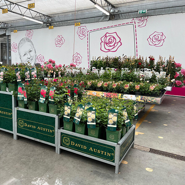 Bricks spandoekframe Maatwerk