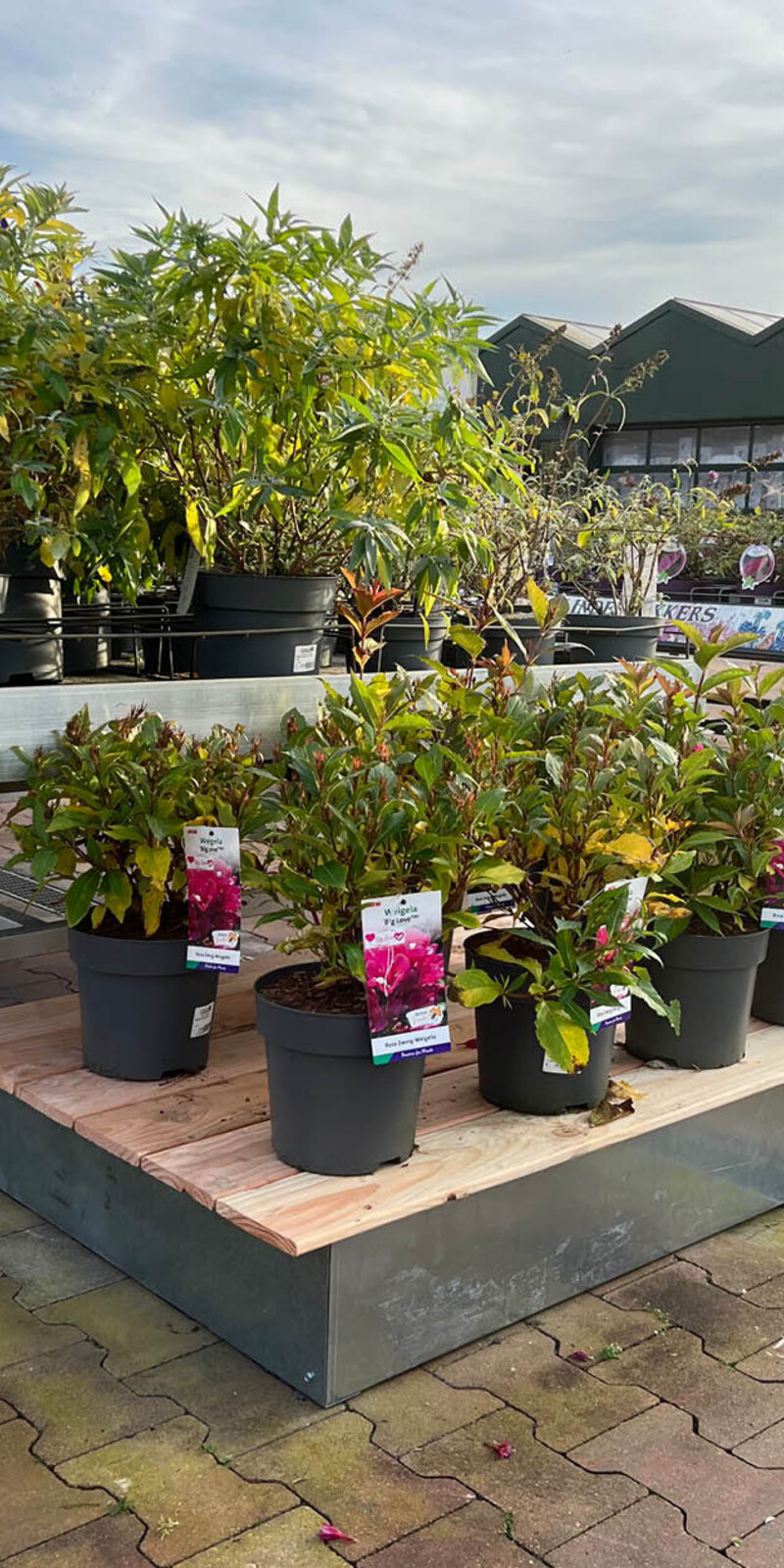 Houten vlonder large