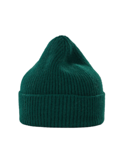 Le Bonnet Beanie Moss