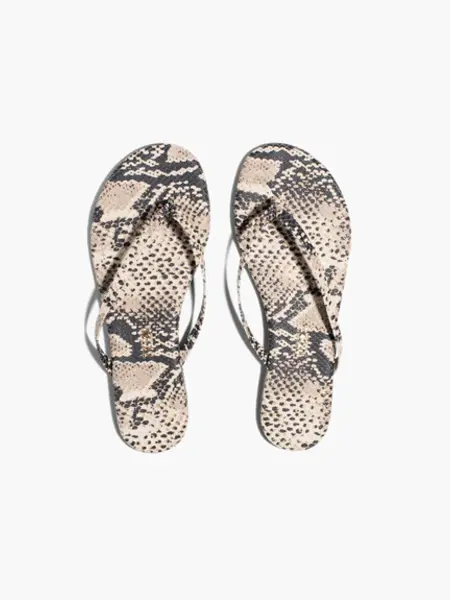 Tkees Studio exotic slipper Sand snake