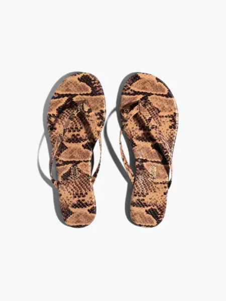Tkees Studio exotic slipper Coco snake