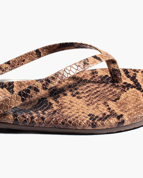 Tkees Studio exotic slipper Coco snake