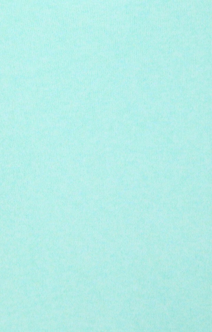 American Vintage DAM225 trui Lagon chine