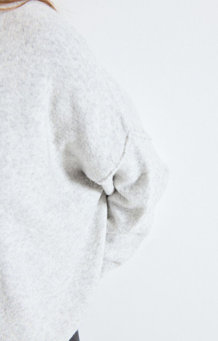 American Vintage DAM225 trui Gris Chine