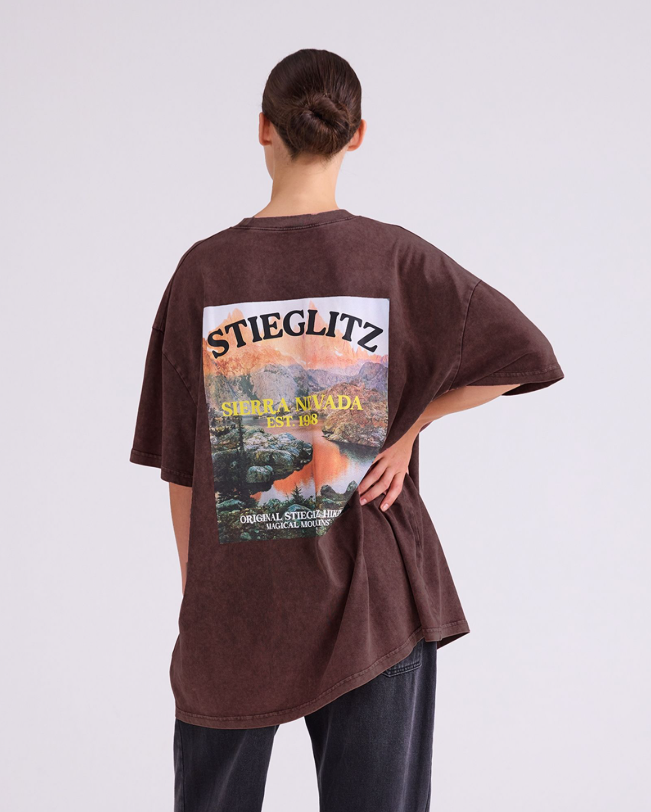 Stieglitz Miquel oversized T-shirt Brown