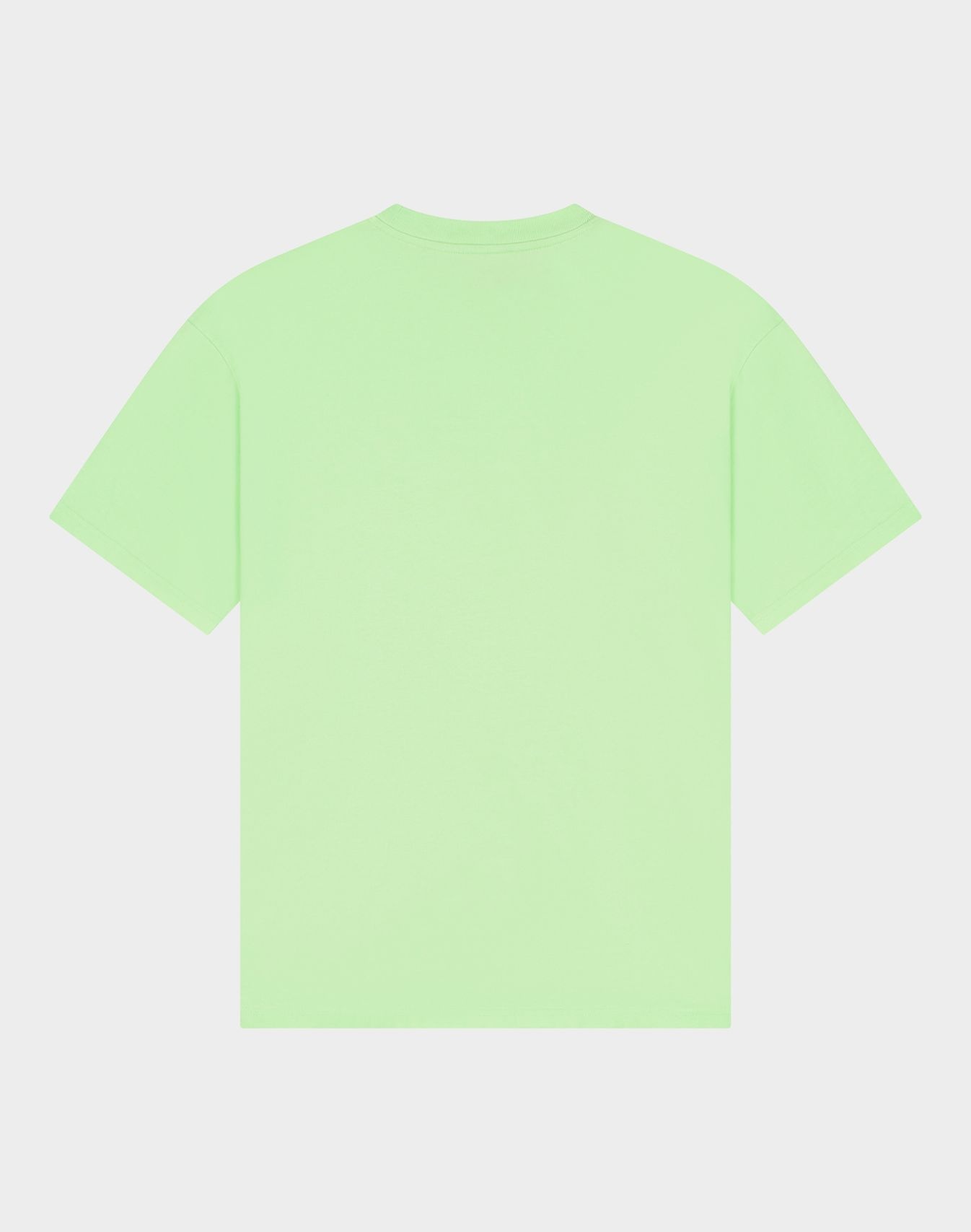 Stieglitz Philo oversized T-shirt Green