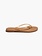 Tkees Aqua slipper Sand