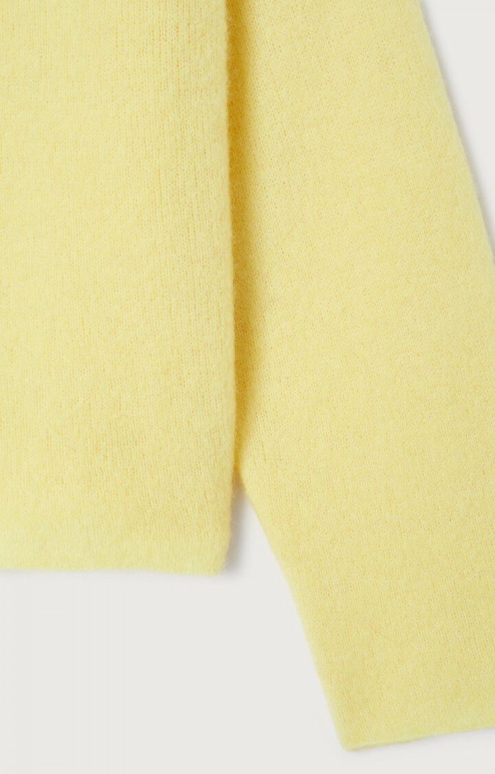 American Vintage VITO18P trui Citronnier chine