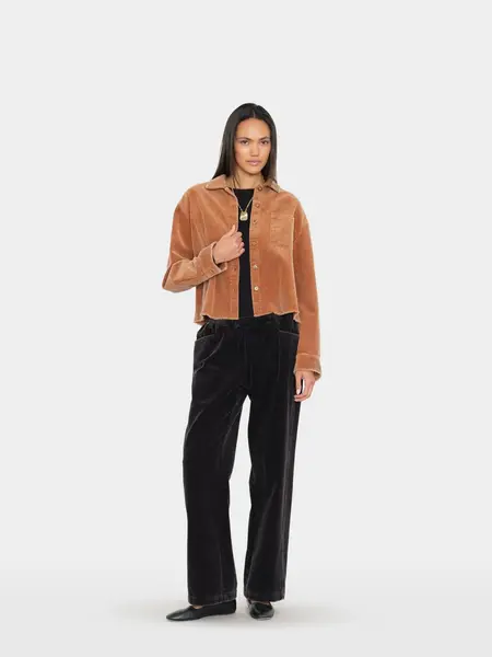 Xirena Joey pant Black flint