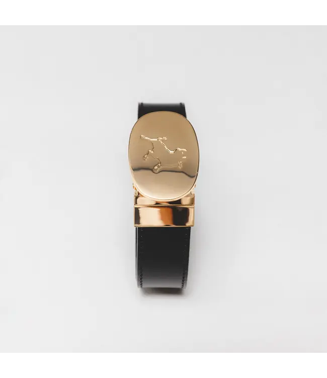 Lois Sun gold leather belt Black/brown
