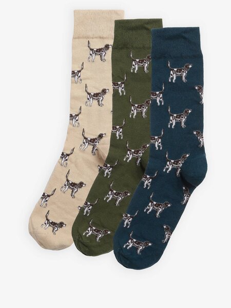 Barbour Pointer dog socks gift box Forest mist